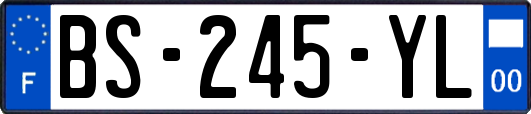 BS-245-YL