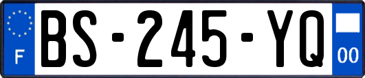 BS-245-YQ