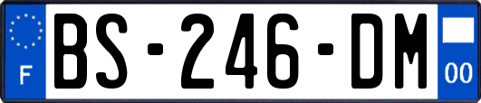 BS-246-DM
