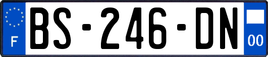 BS-246-DN