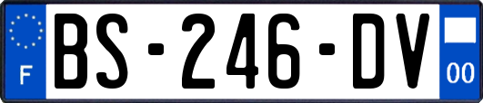 BS-246-DV