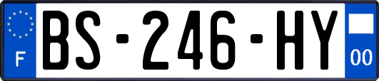 BS-246-HY