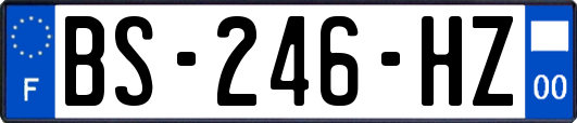 BS-246-HZ