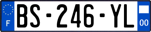 BS-246-YL