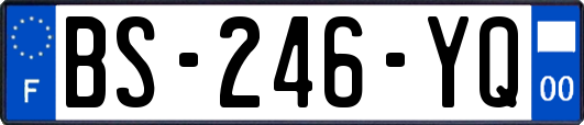 BS-246-YQ