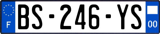 BS-246-YS