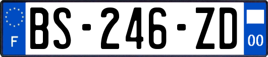 BS-246-ZD