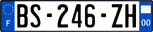 BS-246-ZH
