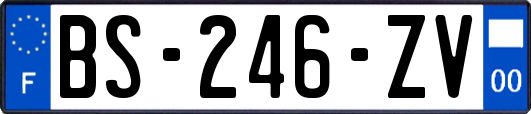 BS-246-ZV