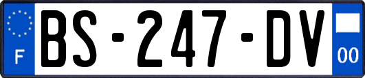 BS-247-DV