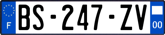 BS-247-ZV