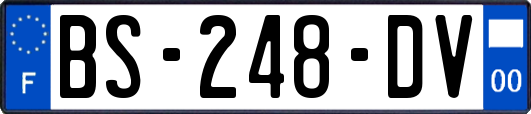 BS-248-DV