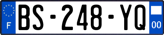 BS-248-YQ
