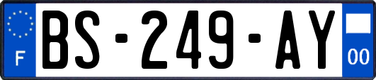 BS-249-AY