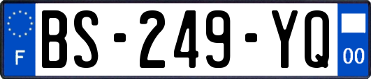 BS-249-YQ