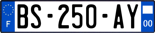 BS-250-AY