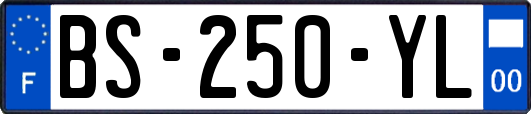 BS-250-YL