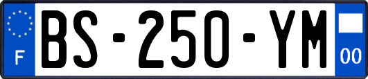 BS-250-YM