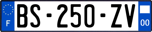 BS-250-ZV