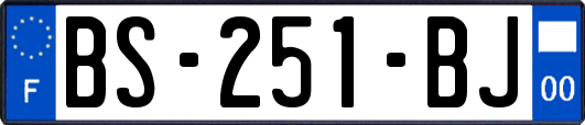 BS-251-BJ