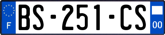 BS-251-CS