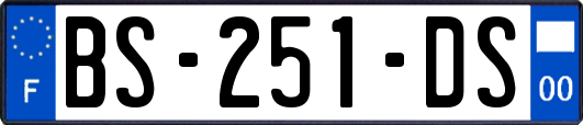 BS-251-DS