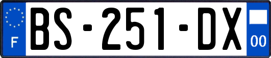 BS-251-DX