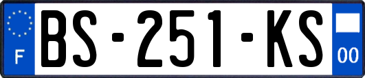 BS-251-KS