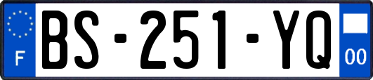 BS-251-YQ