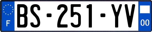 BS-251-YV