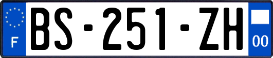BS-251-ZH