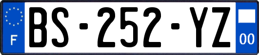 BS-252-YZ