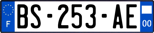 BS-253-AE