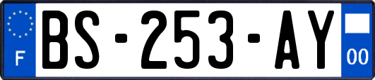 BS-253-AY