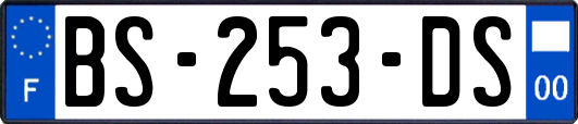 BS-253-DS