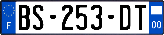 BS-253-DT