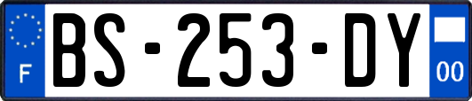 BS-253-DY