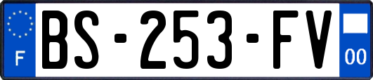 BS-253-FV