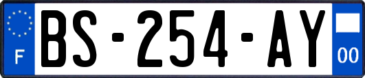 BS-254-AY