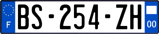 BS-254-ZH