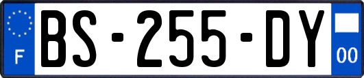 BS-255-DY