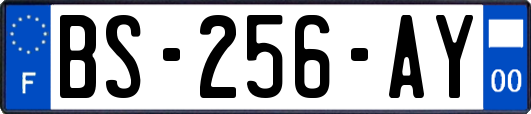 BS-256-AY