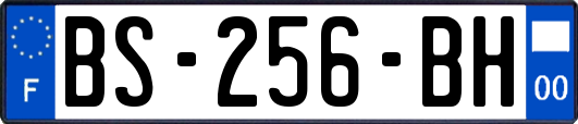 BS-256-BH