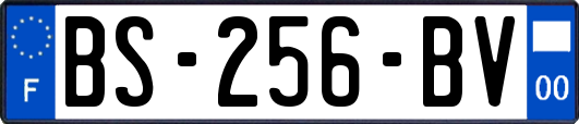 BS-256-BV