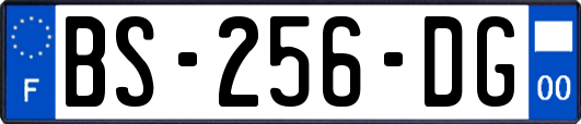 BS-256-DG