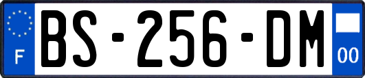 BS-256-DM