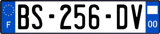 BS-256-DV