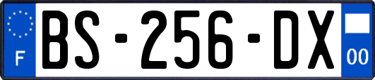 BS-256-DX