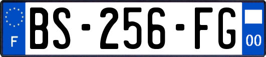 BS-256-FG
