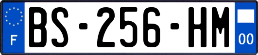 BS-256-HM